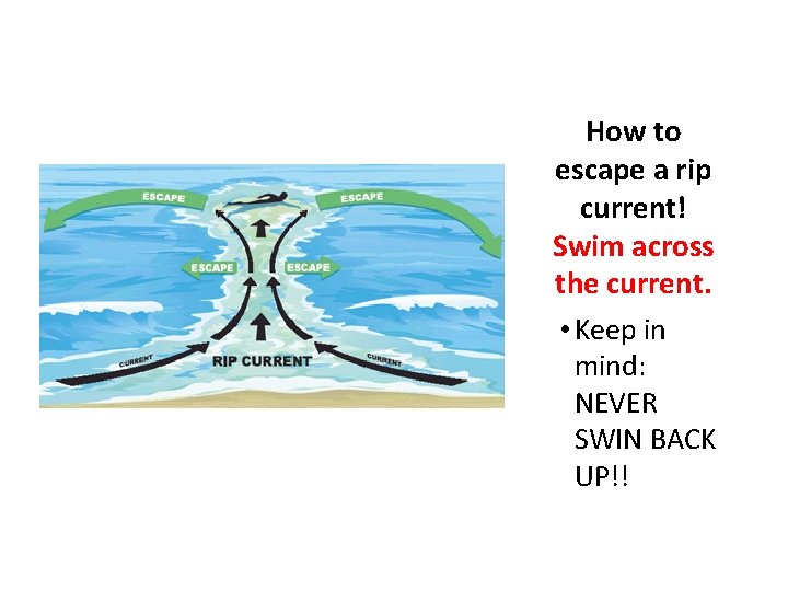 How to escape a rip current! Swim across the current. • Keep in mind:
