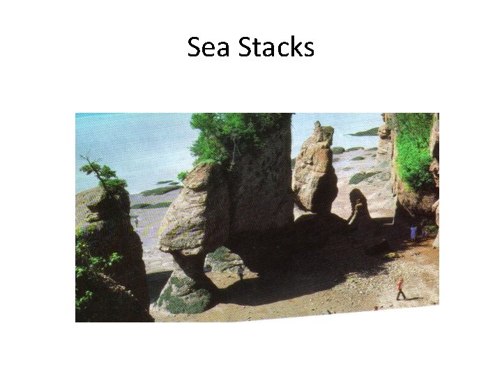 Sea Stacks 