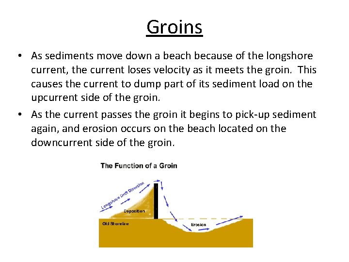 Groins • As sediments move down a beach because of the longshore current, the