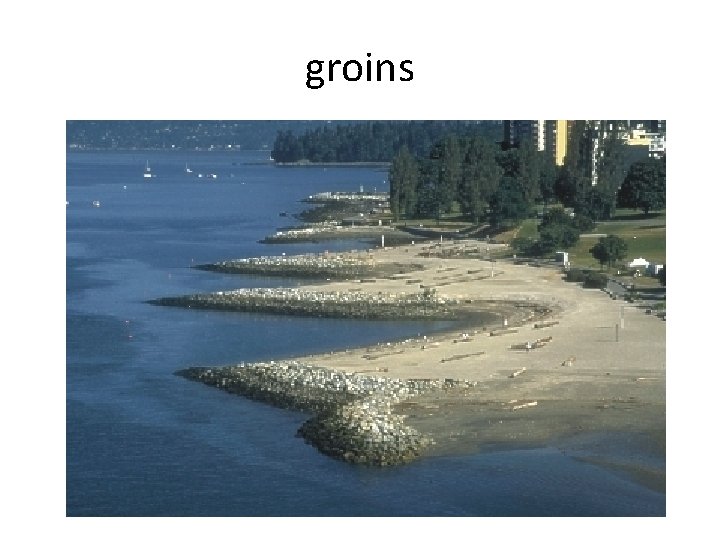 groins 