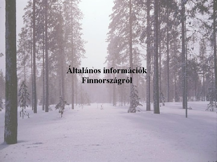 Általános információk Finnországról 