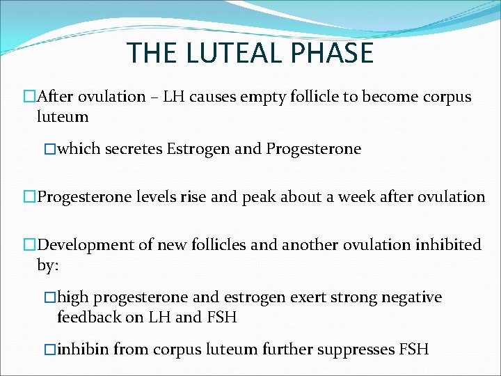 THE LUTEAL PHASE �After ovulation – LH causes empty follicle to become corpus luteum