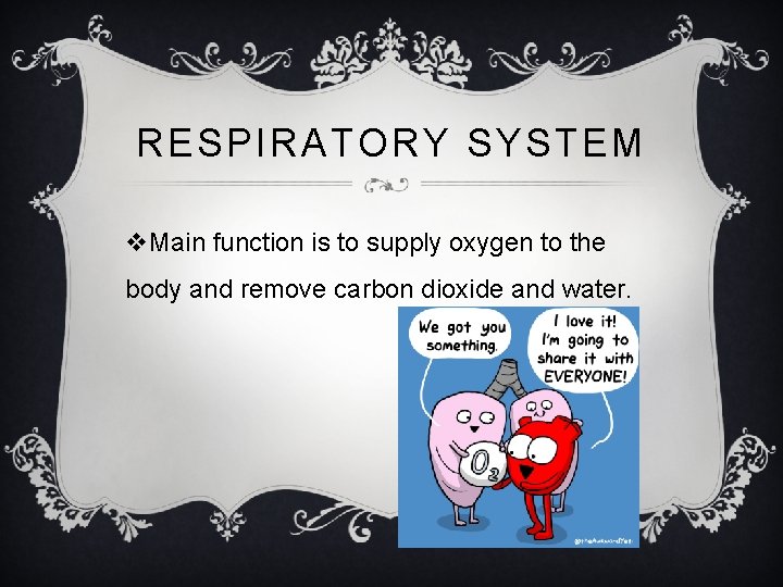 RESPIRATORY SYSTEM v. Main function is to supply oxygen to the body and remove