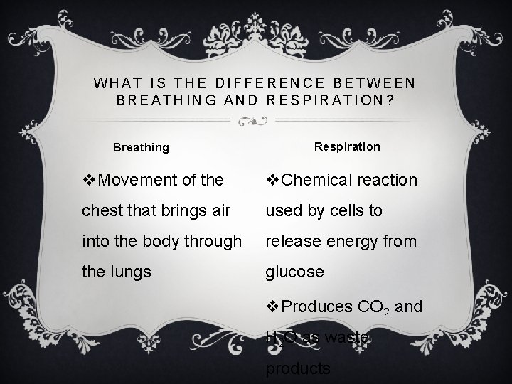 WHAT IS THE DIFFERENCE BETWEEN BREATHING AND RESPIRATION? Breathing Respiration v. Movement of the