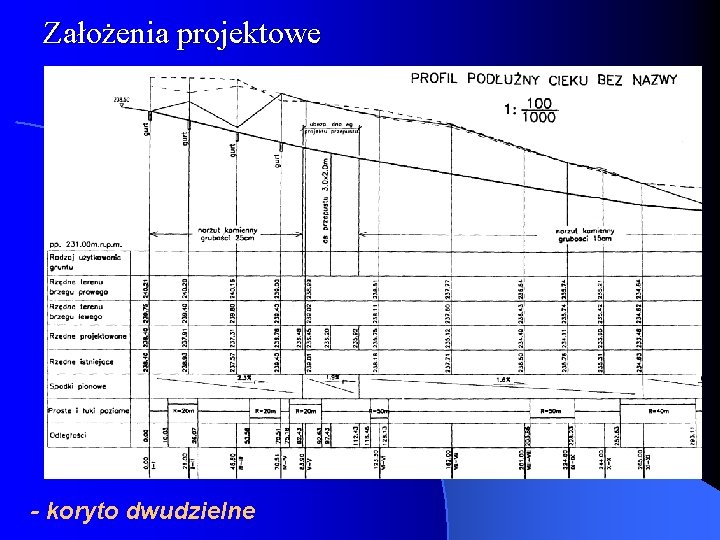 Założenia projektowe - koryto dwudzielne 