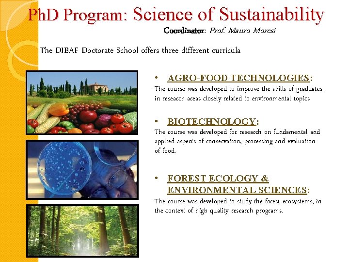 Ph. D Program: Science of Sustainability Coordinator: Prof. Mauro Moresi The DIBAF Doctorate School