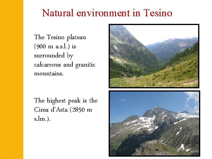 Natural environment in Tesino The Tesino plateau (900 m a. s. l. ) is