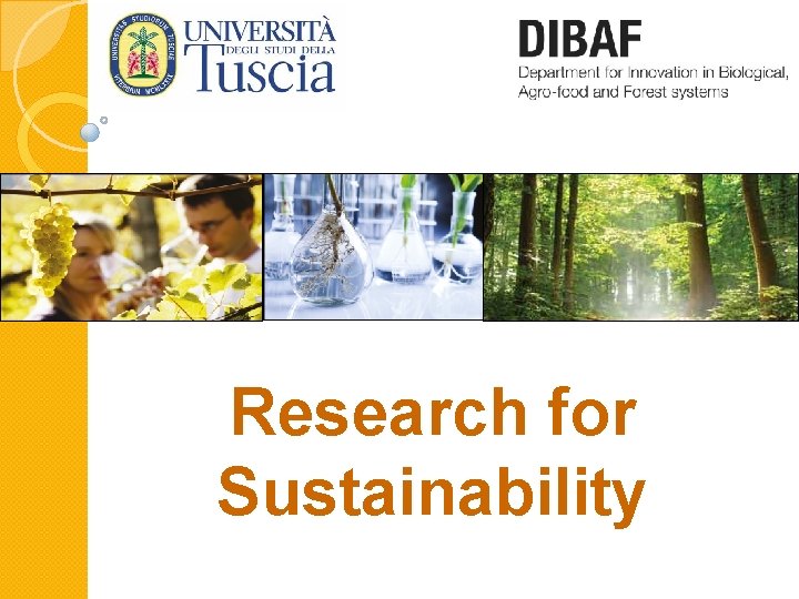 Research for Sustainability 
