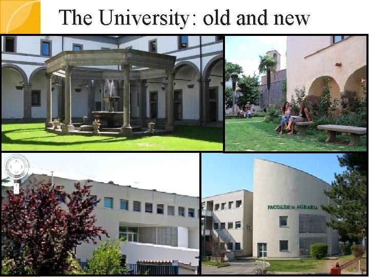 The University: old and new 
