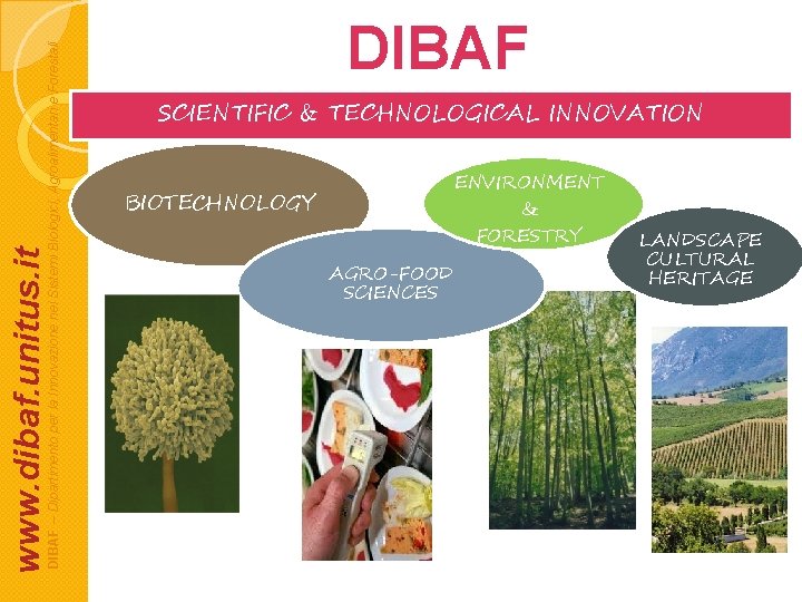DIBAF – Dipartimento per la Innovazione nei Sistemi Biologici, Agroalimentari e Forestali www. dibaf.