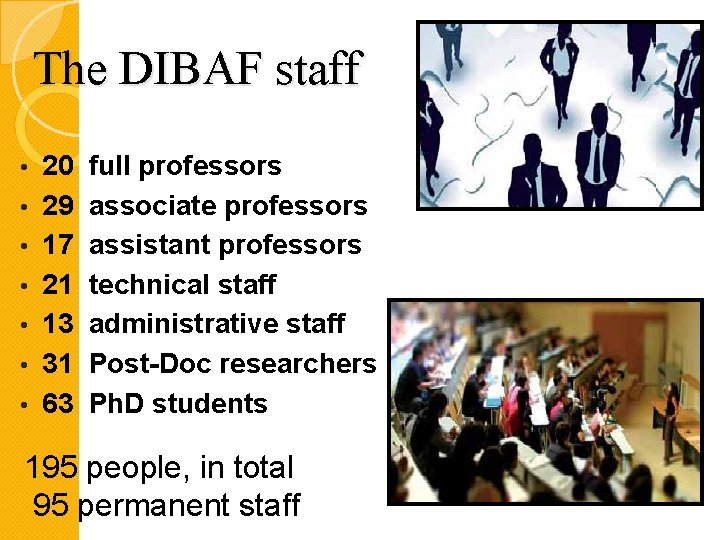 The DIBAF staff • • 20 29 17 21 13 31 63 full professors