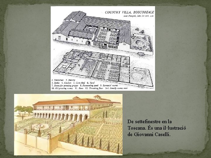 De settefinestre en la Toscana. És una il·lustració de Giovanni Caselli. 