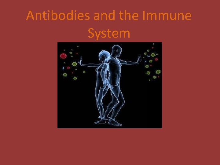 Antibodies and the Immune System 