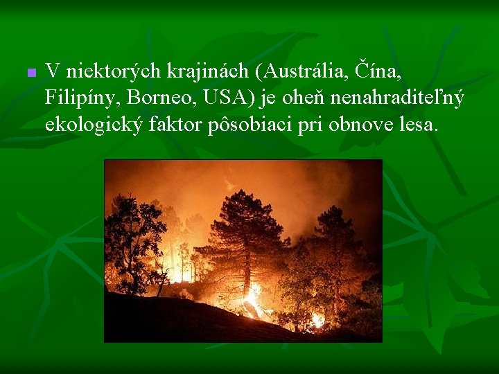 n V niektorých krajinách (Austrália, Čína, Filipíny, Borneo, USA) je oheň nenahraditeľný ekologický faktor