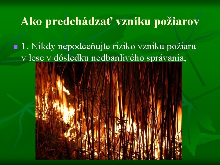Ako predchádzať vzniku požiarov n 1. Nikdy nepodceňujte riziko vzniku požiaru v lese v