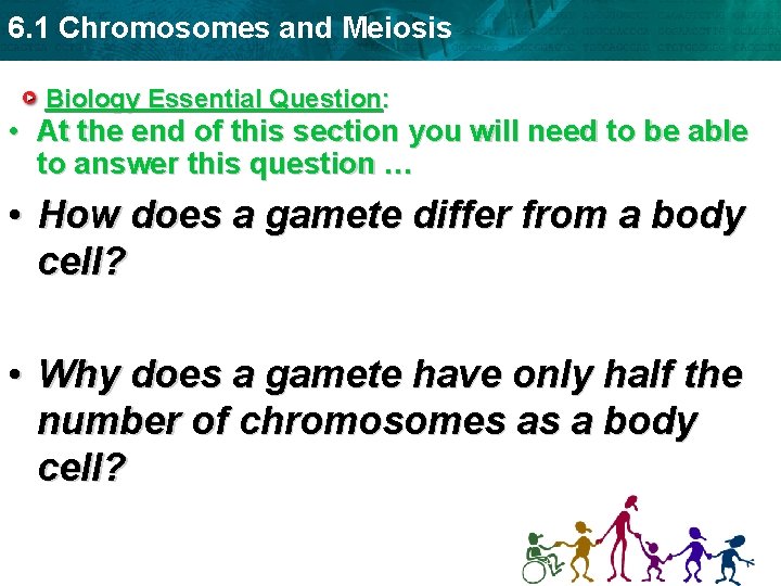 6. 1 Chromosomes and Meiosis Biology Essential Question: • At the end of this