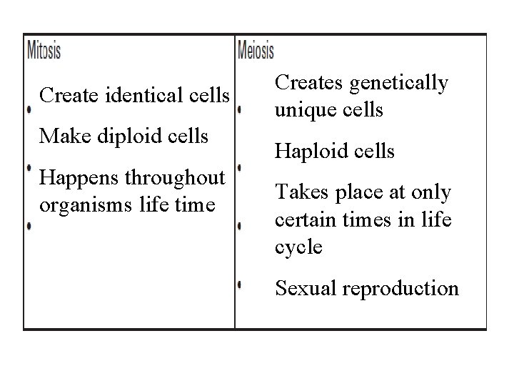 Create identical cells Make diploid cells Happens throughout organisms life time Creates genetically unique