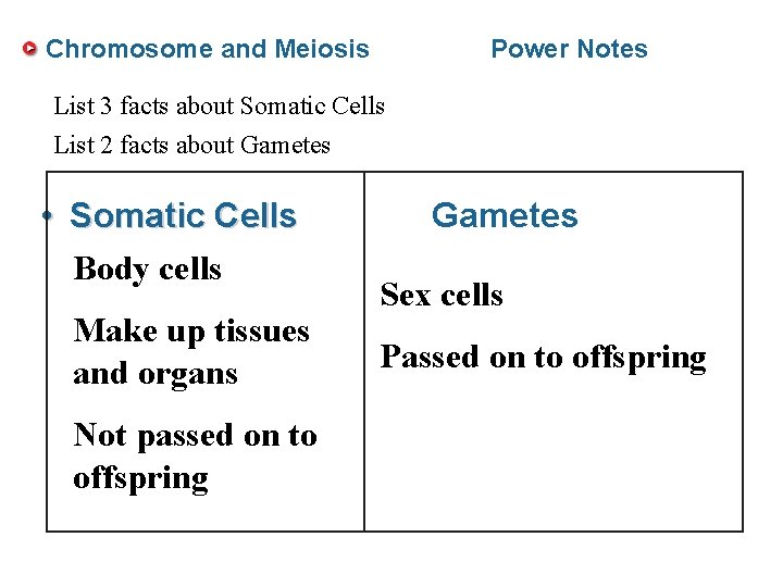 Chromosome and Meiosis Power Notes List 3 facts about Somatic Cells List 2 facts