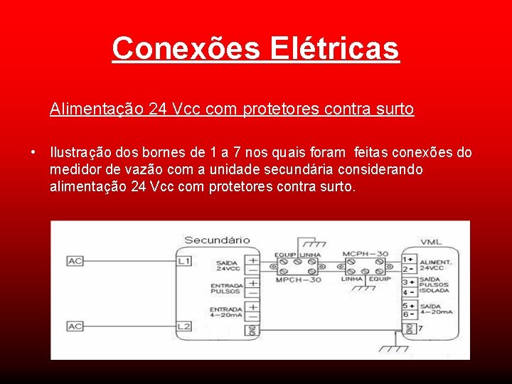 Conexões Elétricas Alimentação 24 Vcc com protetores contra surto • Ilustração dos bornes de