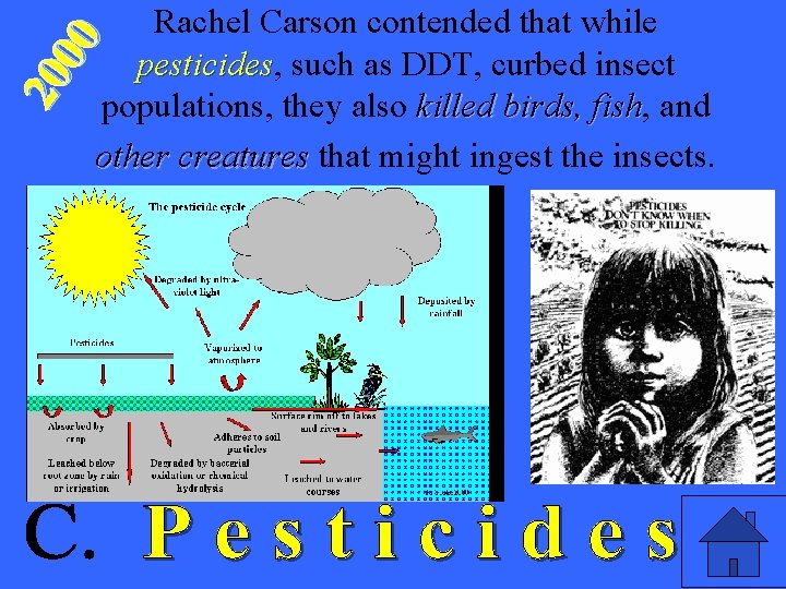 20 00 Rachel Carson contended that while pesticides, pesticides such as DDT, curbed insect