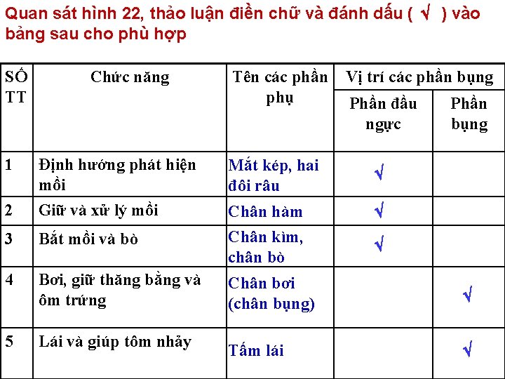 Quan sát hình 22, thảo luận điền chữ và đánh dấu ( ) vào