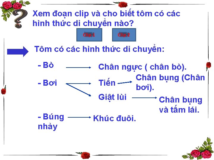 Xem đoạn clip và cho biết tôm có các hình thức di chuyển nào?