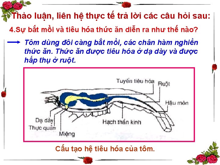 Thảo luận, liên hệ thực tế trả lời các câu hỏi sau: 4. Sự