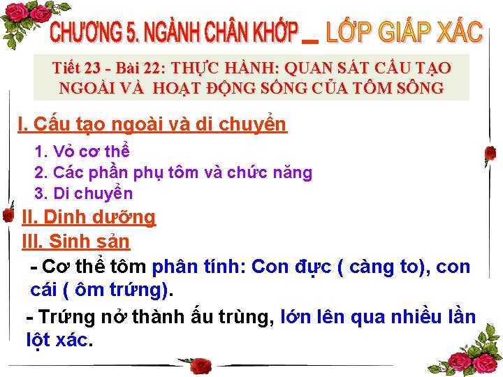 Tiết 23 - Bài 22: THỰC HÀNH: QUAN SÁT CẤU TẠO NGOÀI VÀ HOẠT