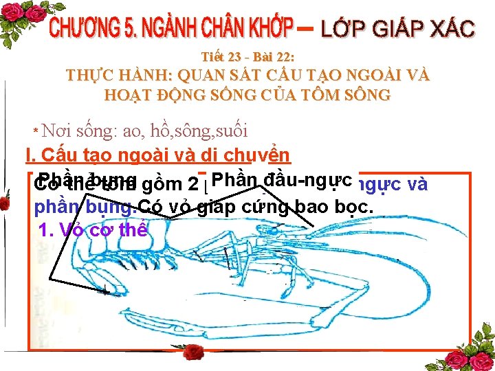 Tiết 23 - Bài 22: THỰC HÀNH: QUAN SÁT CẤU TẠO NGOÀI VÀ HOẠT