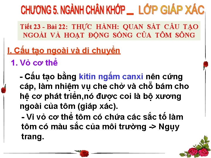 Tiết 23 - Bài 22: THỰC HÀNH: QUAN SÁT CẤU TẠO NGOÀI VÀ HOẠT