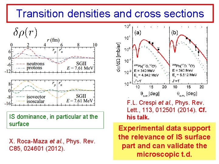 Transition densities and cross sections IS dominance, in particular at the surface X. Roca-Maza