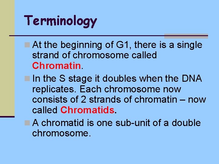 Terminology n At the beginning of G 1, there is a single strand of