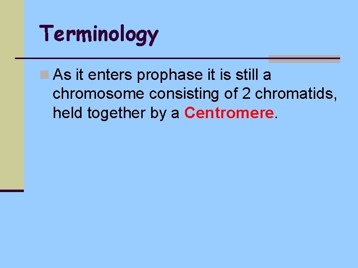 Terminology n As it enters prophase it is still a chromosome consisting of 2