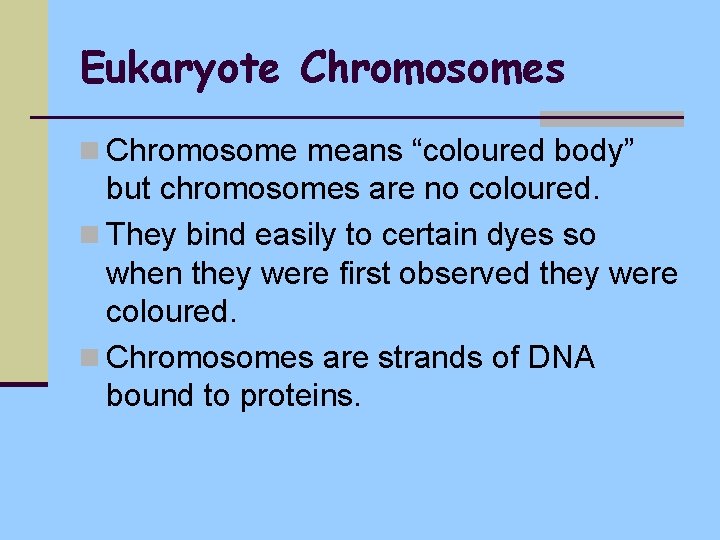 Eukaryote Chromosomes n Chromosome means “coloured body” but chromosomes are no coloured. n They