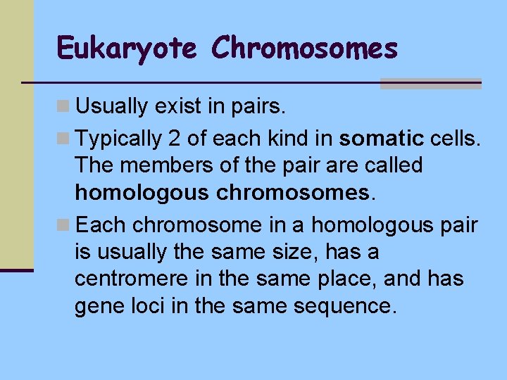 Eukaryote Chromosomes n Usually exist in pairs. n Typically 2 of each kind in