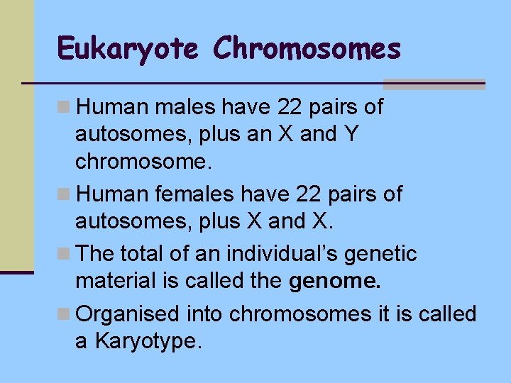 Eukaryote Chromosomes n Human males have 22 pairs of autosomes, plus an X and