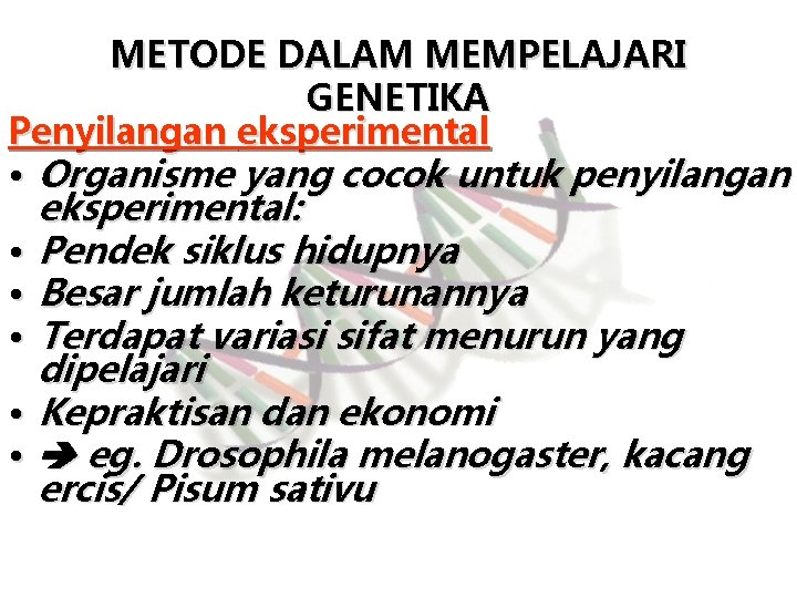 METODE DALAM MEMPELAJARI GENETIKA Penyilangan eksperimental • Organisme yang cocok untuk penyilangan • •