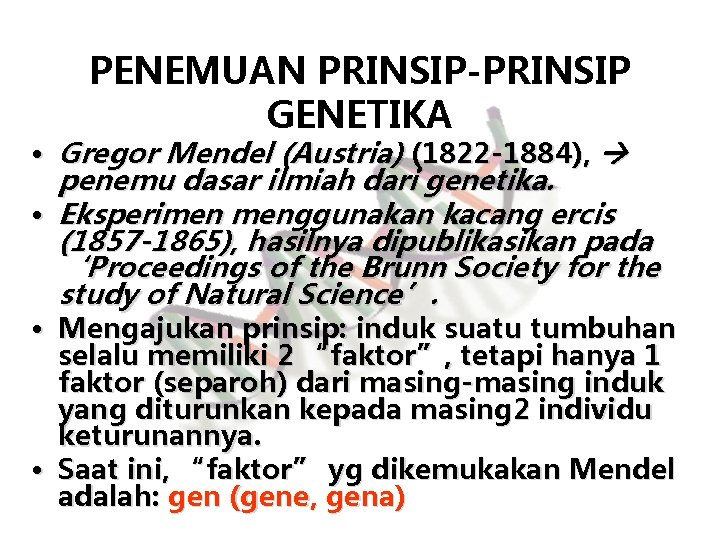 PENEMUAN PRINSIP-PRINSIP GENETIKA • Gregor Mendel (Austria) (1822 -1884), penemu dasar ilmiah dari genetika.