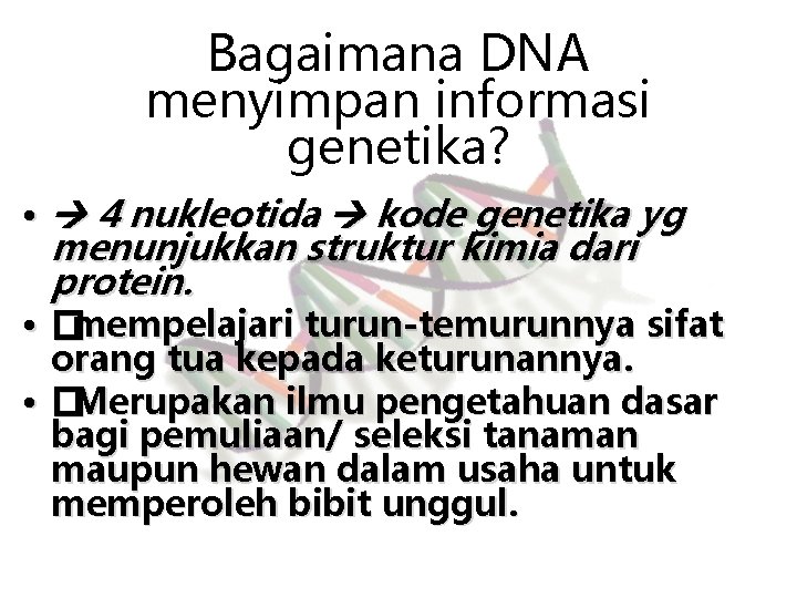 Bagaimana DNA menyimpan informasi genetika? • 4 nukleotida kode genetika yg menunjukkan struktur kimia