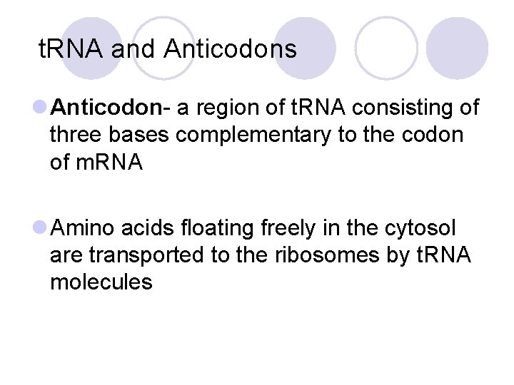 t. RNA and Anticodons l Anticodon- a region of t. RNA consisting of three