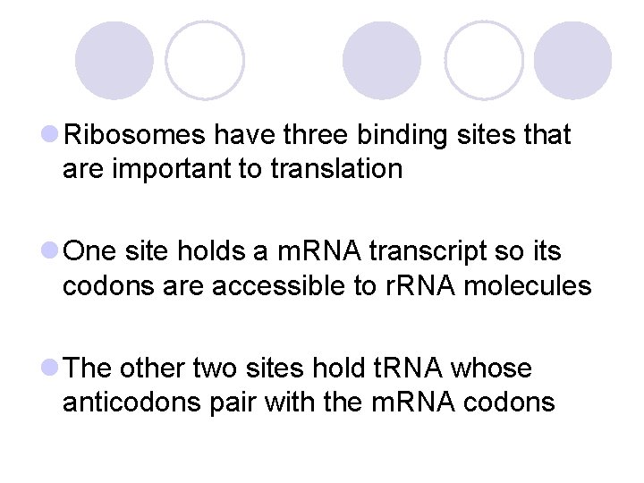 l Ribosomes have three binding sites that are important to translation l One site