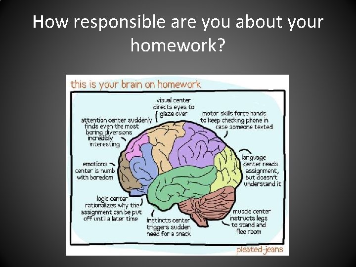 How responsible are you about your homework? 