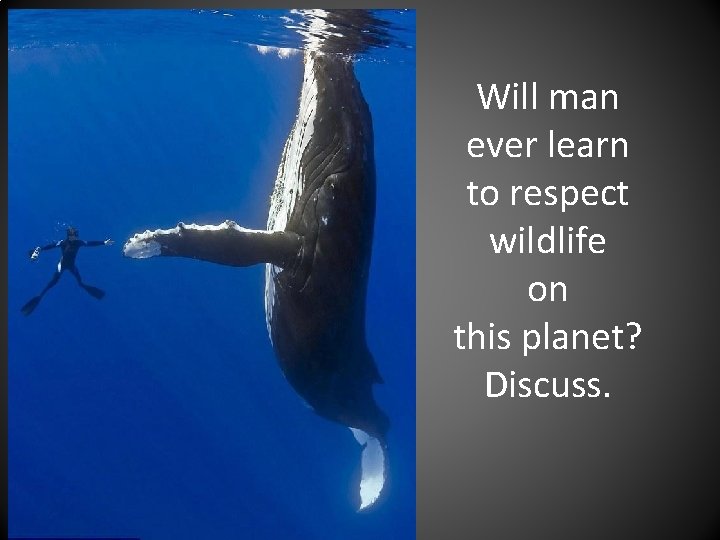 Will man ever learn to respect wildlife on this planet? Discuss. 