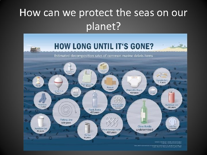 How can we protect the seas on our planet? 