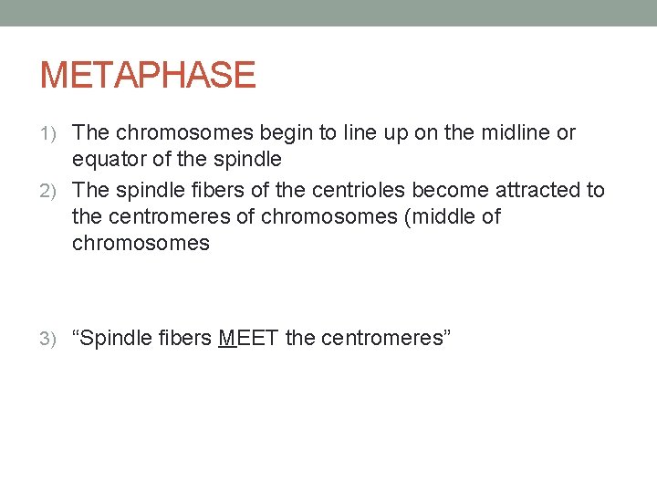 METAPHASE 1) The chromosomes begin to line up on the midline or equator of