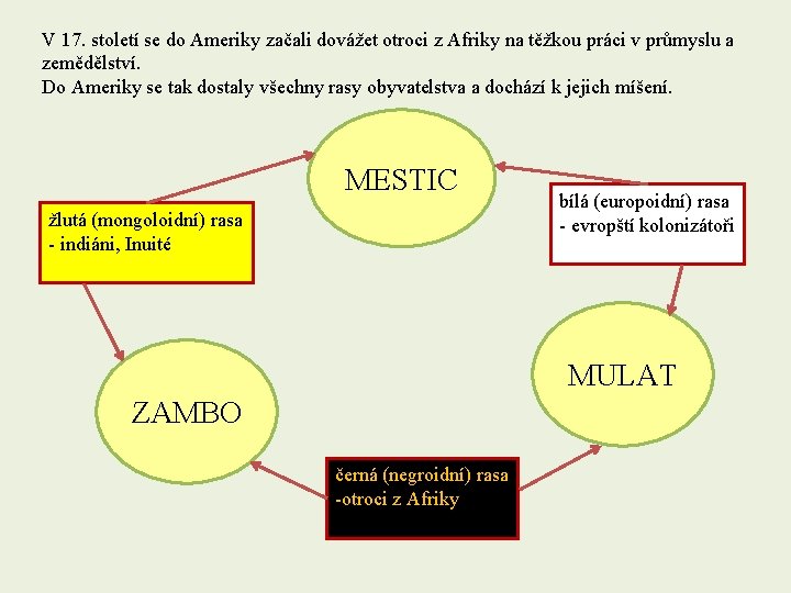 V 17. století se do Ameriky začali dovážet otroci z Afriky na těžkou práci