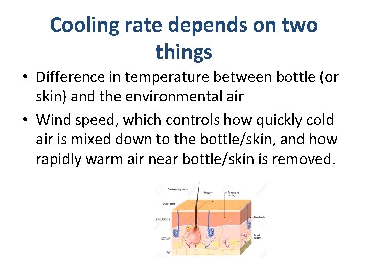 Cooling rate depends on two things • Difference in temperature between bottle (or skin)