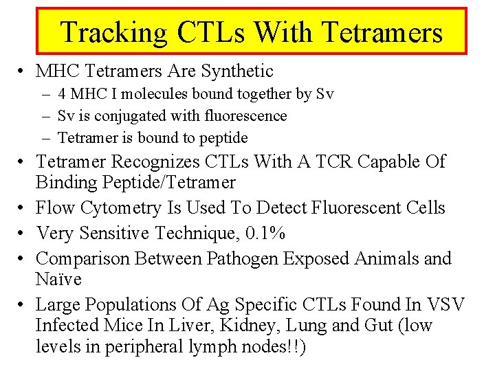 Tracking CTLs With Tetramers • MHC Tetramers Are Synthetic – 4 MHC I molecules