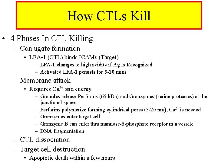 How CTLs Kill • 4 Phases In CTL Killing – Conjugate formation • LFA-1