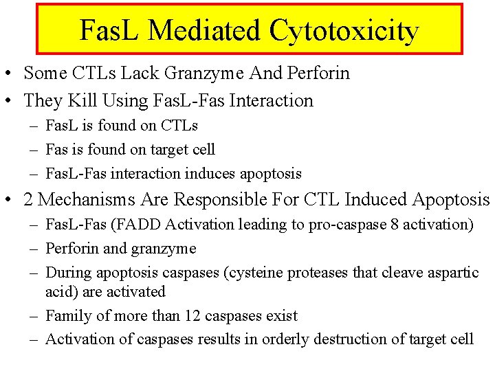 Fas. L Mediated Cytotoxicity • Some CTLs Lack Granzyme And Perforin • They Kill